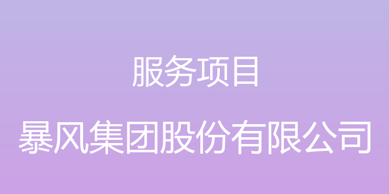 服务项目 - 暴风集团股份有限公司