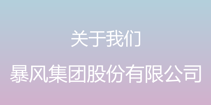 关于我们 - 暴风集团股份有限公司