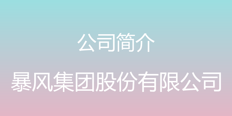 公司简介 - 暴风集团股份有限公司