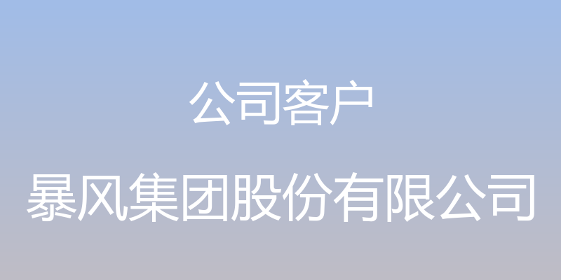 公司客户 - 暴风集团股份有限公司