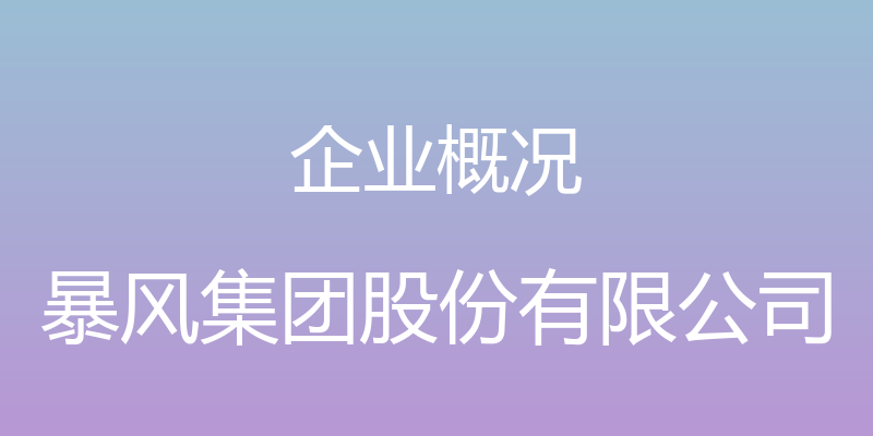 企业概况 - 暴风集团股份有限公司