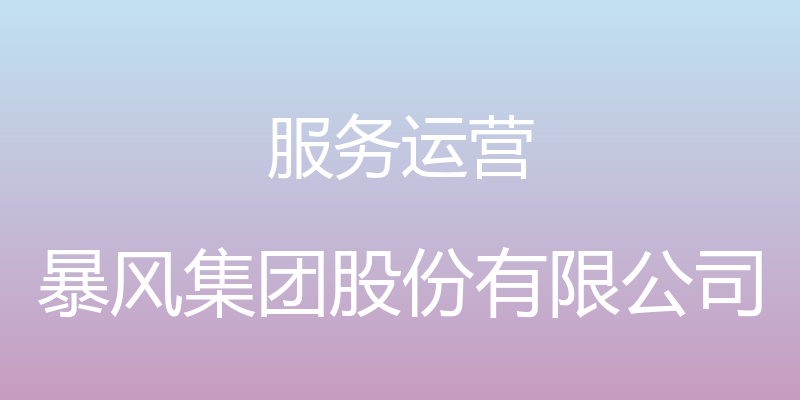 服务运营 - 暴风集团股份有限公司